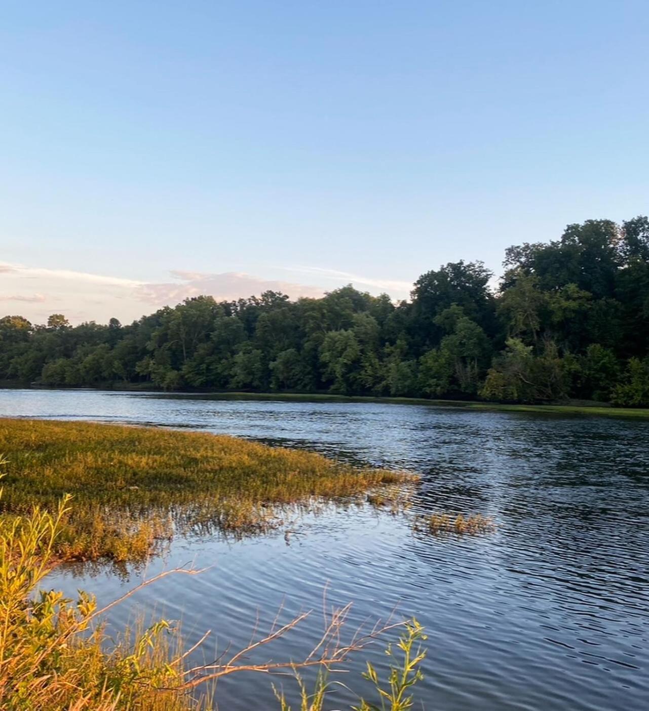 Luxury Riverfront Tiny House- Amazing Views- #111 Strawberry Plains Eksteriør bilde